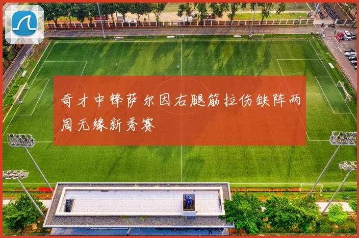 奇才中锋萨尔因右腿筋拉伤缺阵两周无缘新秀赛