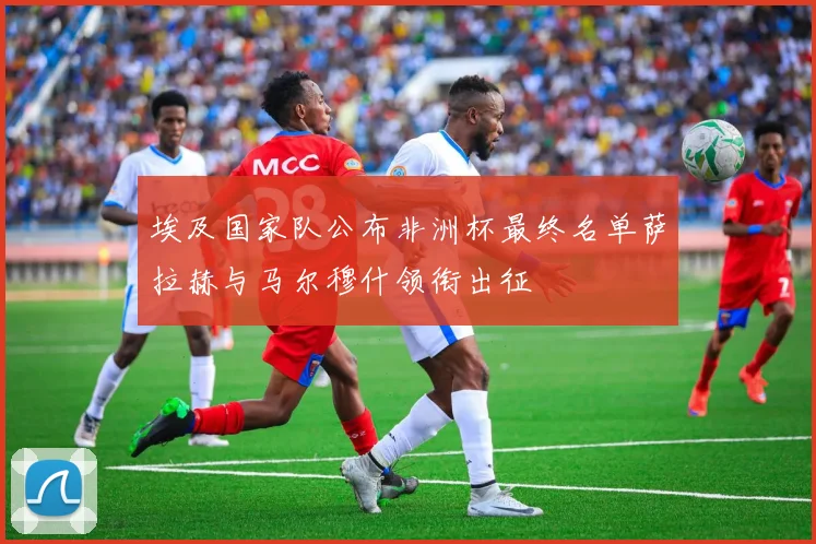 埃及国家队公布非洲杯最终名单萨拉赫与马尔穆什领衔出征