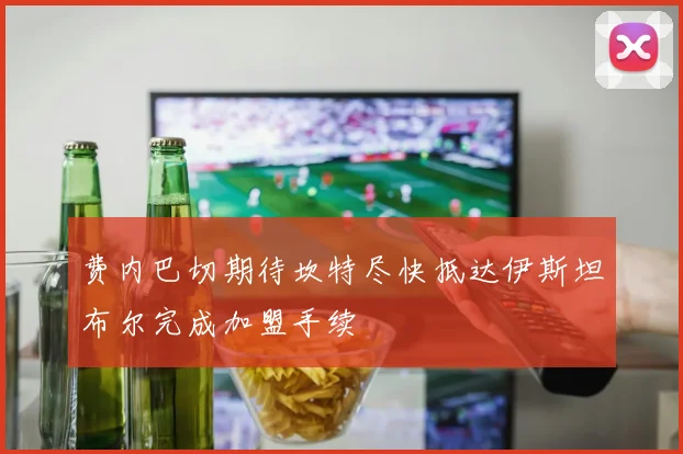 费内巴切期待坎特尽快抵达伊斯坦布尔完成加盟手续